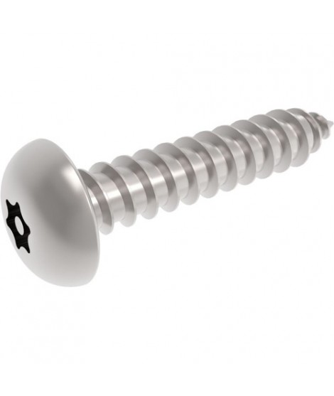 Sicherheitsschraube A2 PIN-TX Blechschraube Flachrundkopf